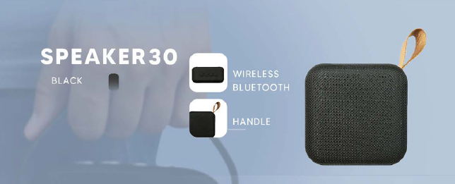 Speaker 30